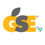 gse logo